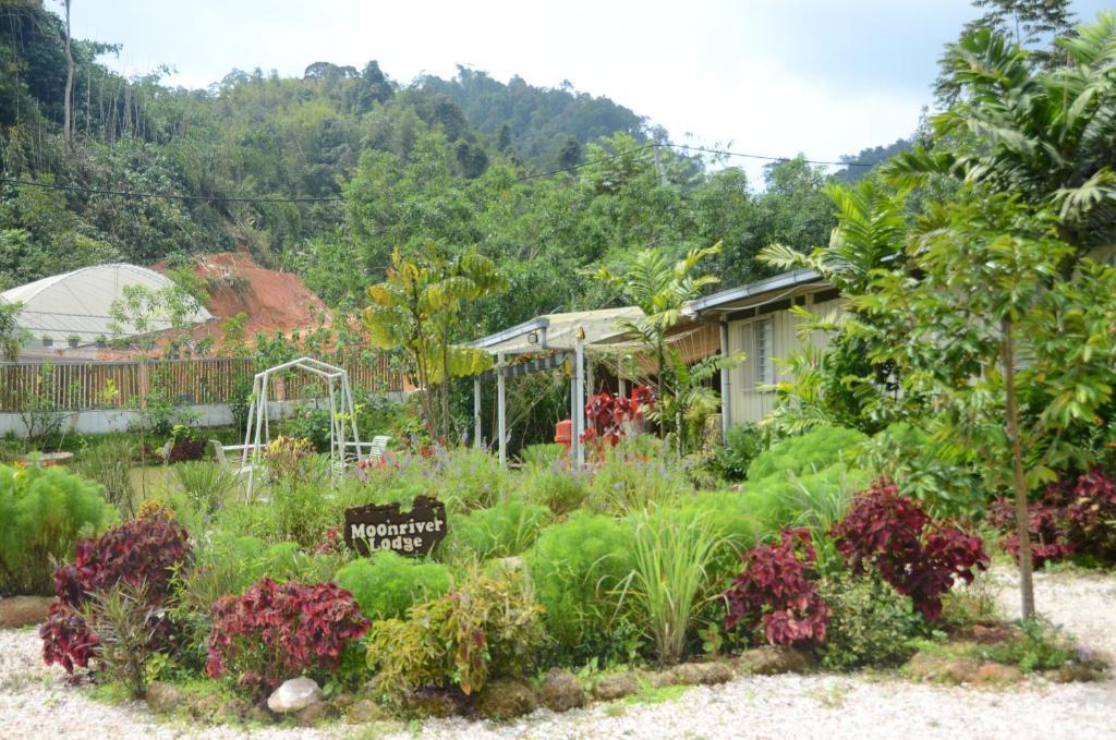 Moonriver Lodge Cameron Highlands Exterior photo