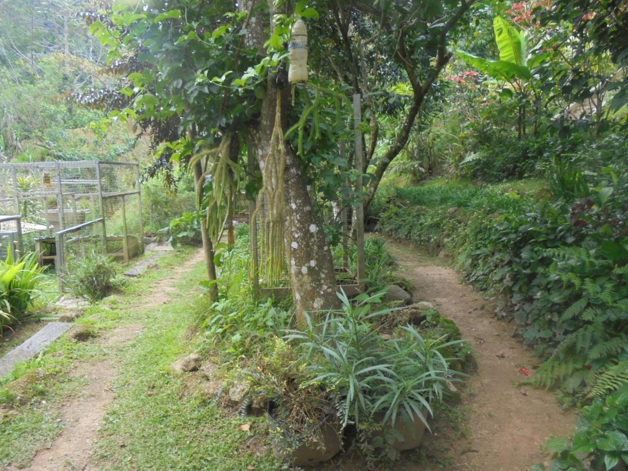 Moonriver Lodge Cameron Highlands Exterior photo